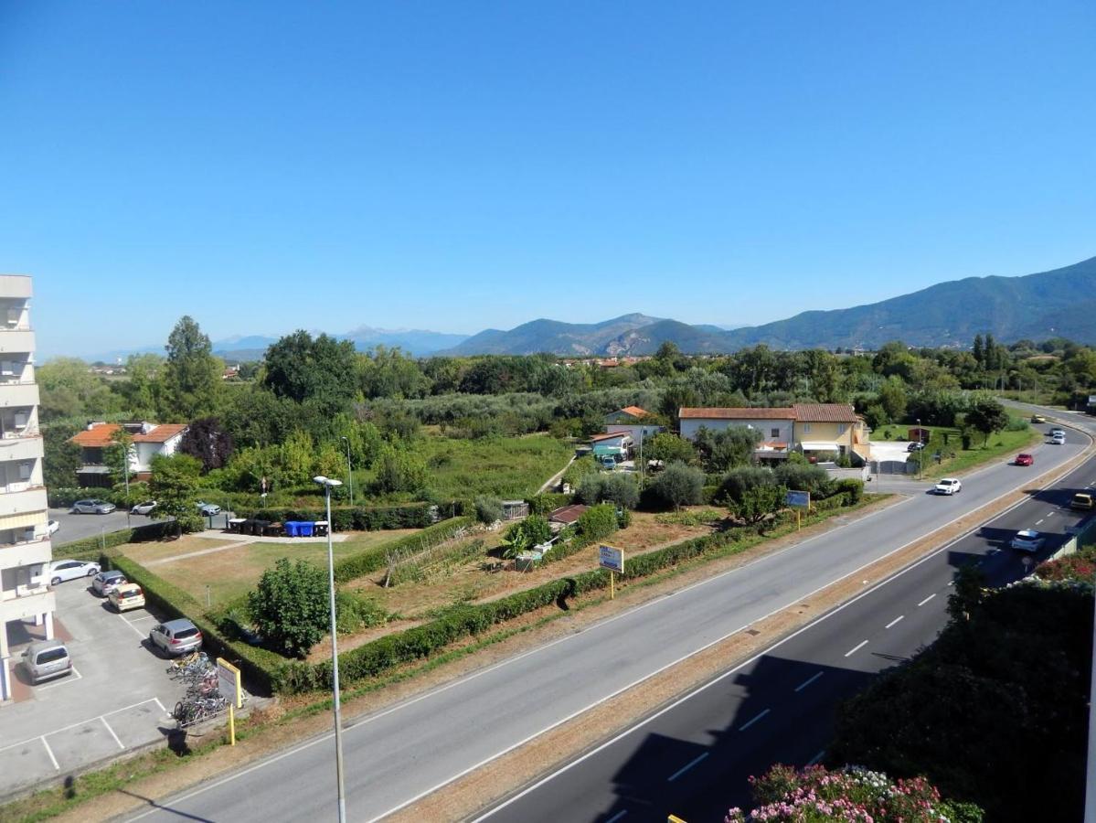 B&B L'Orchidea Pisa Eksteriør bilde