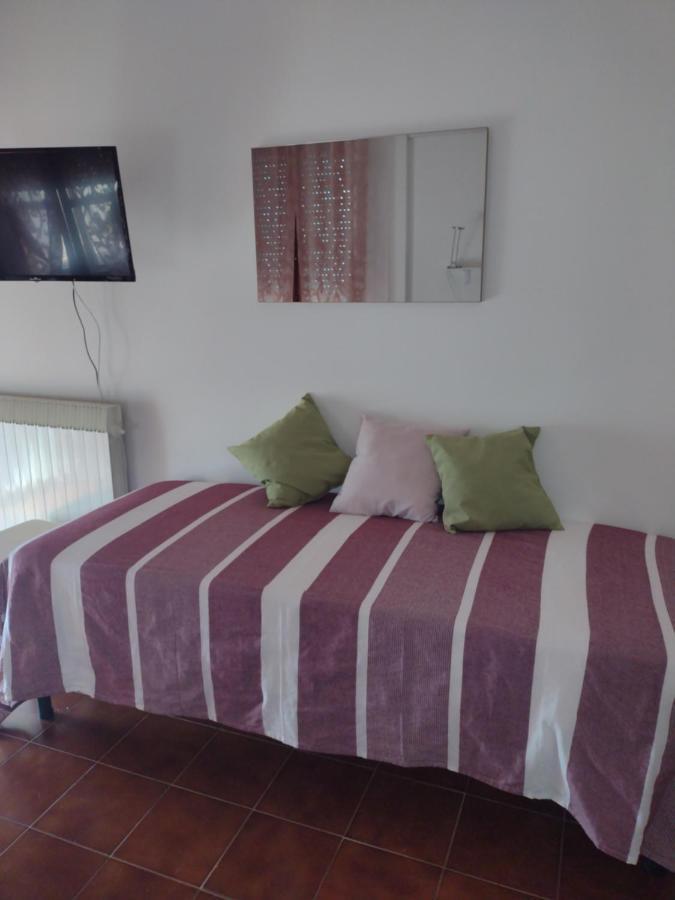 B&B L'Orchidea Pisa Eksteriør bilde