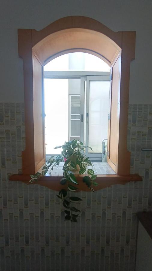 B&B L'Orchidea Pisa Eksteriør bilde