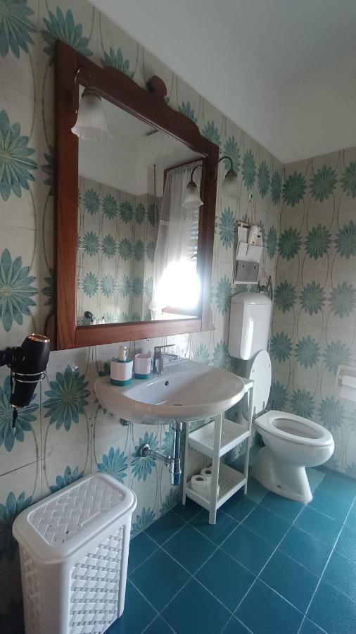 B&B L'Orchidea Pisa Eksteriør bilde